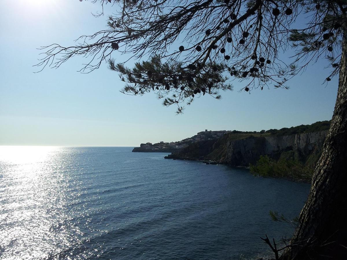 Mar Blau L'Escala Daire Dış mekan fotoğraf